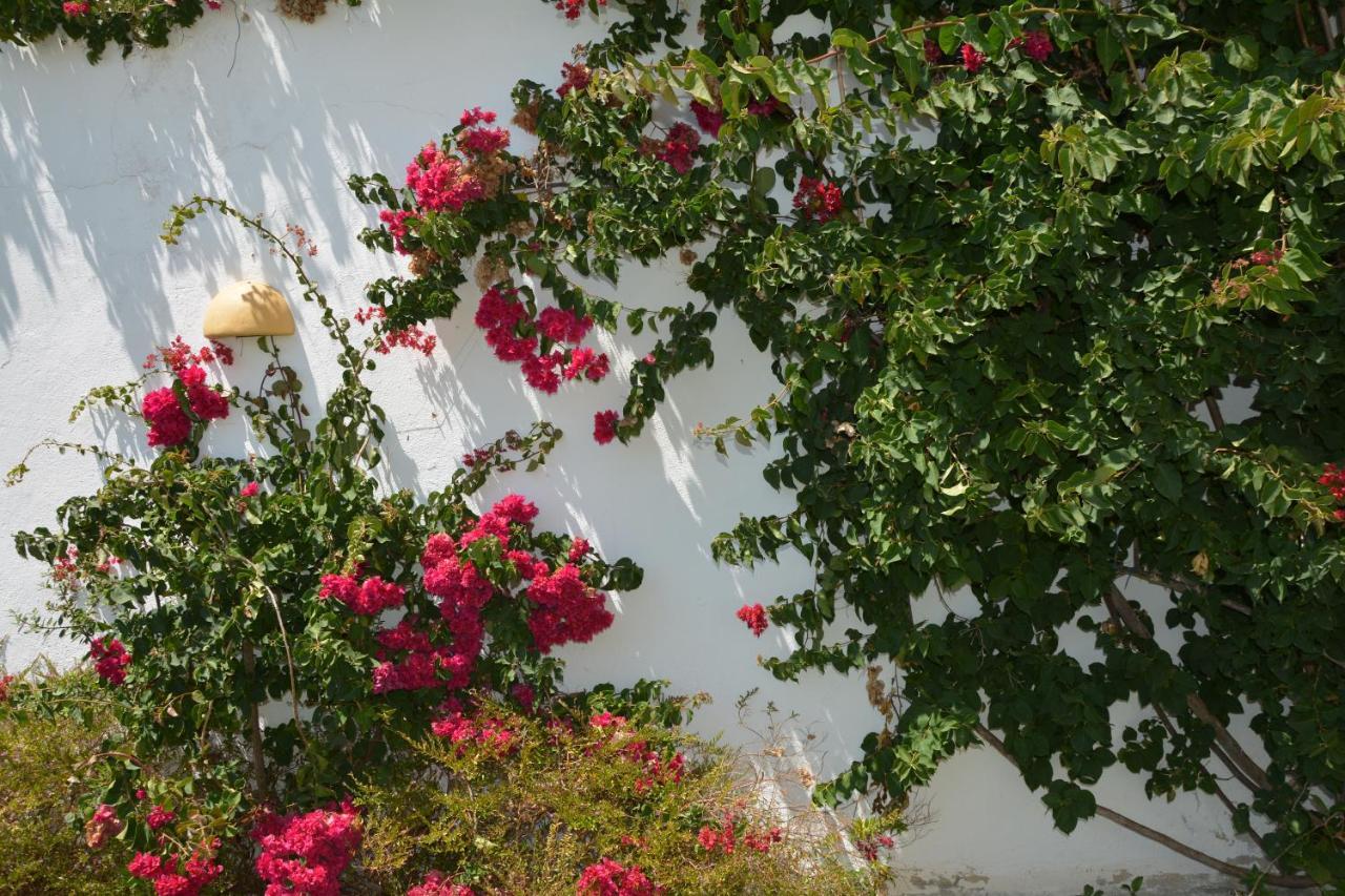 Apartamentos Cintra Do Vale Vila Nova de Milfontes Εξωτερικό φωτογραφία